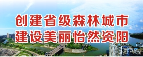 啊啊啊不要操插视频创建省级森林城市 建设美丽怡然资阳